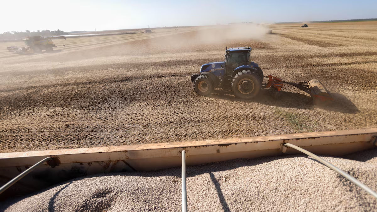 Dependência de fertilizantes expõe risco ao agro brasileiro